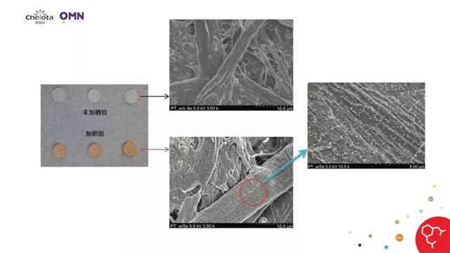 �������Ӽ�