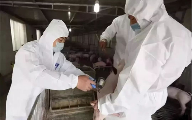 ����������ԭ��Ԥ����ʩ