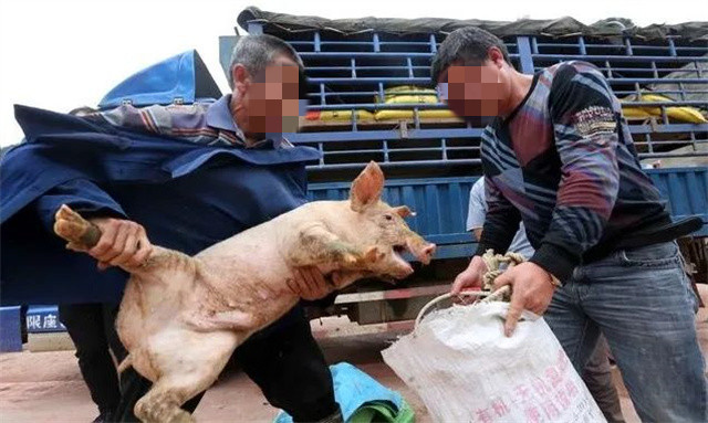 �°桶��������������취��