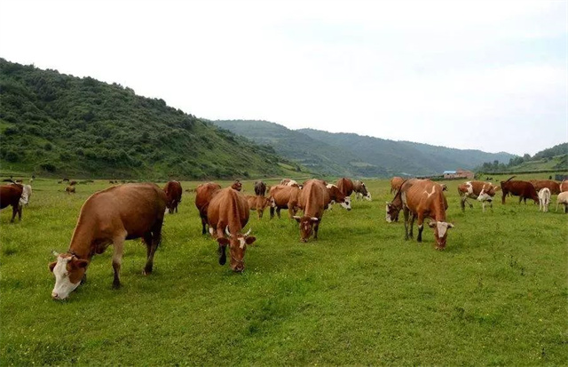 ����ҵ2018����ܽ�