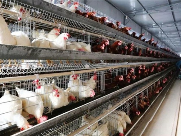 �����������½���ô����