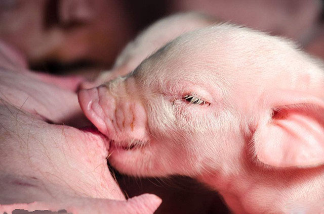 ����������������������������