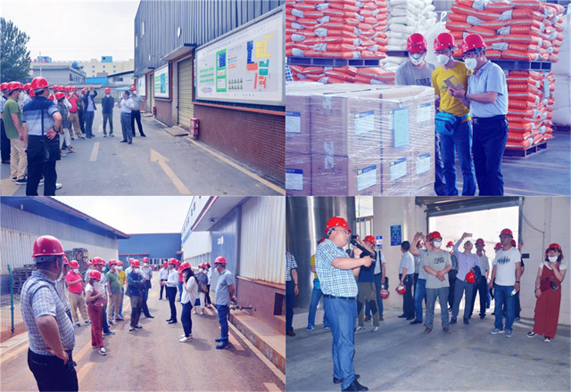 pp����ģ��������΢��Ԫ�ؼ�����Чɳ��