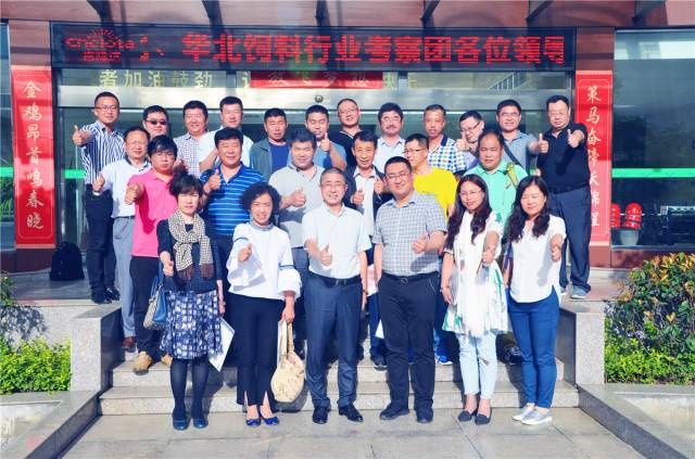 pp����ģ��������΢��Ԫ�ؼ�����Чɳ��