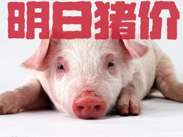 �������� | 2025��1��10��ȫ����������һ������