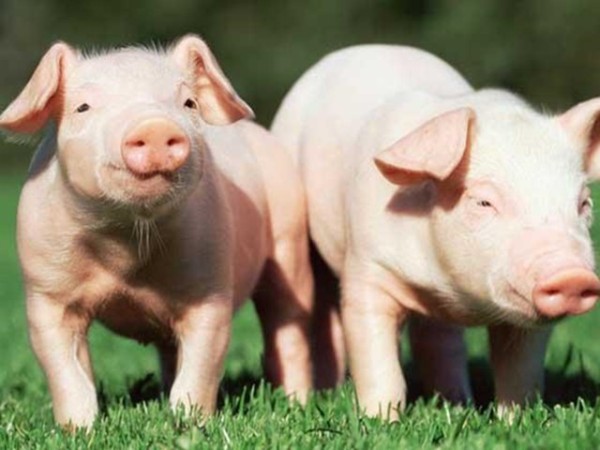 �ʰ���������������ʹ����ʲô�ô����б�Ҫȫ���������������