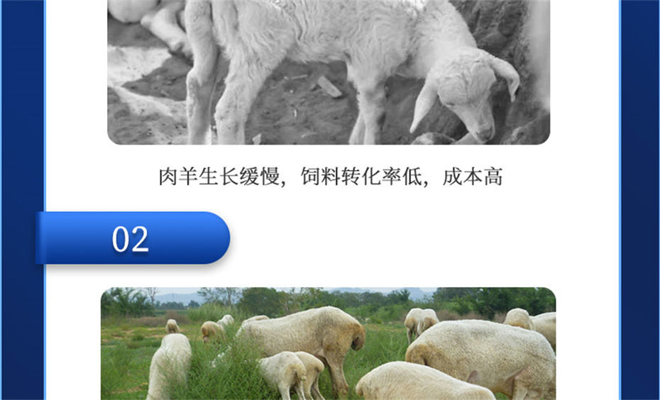 pp����ģ���������������������Ӽ��������Ʒ����