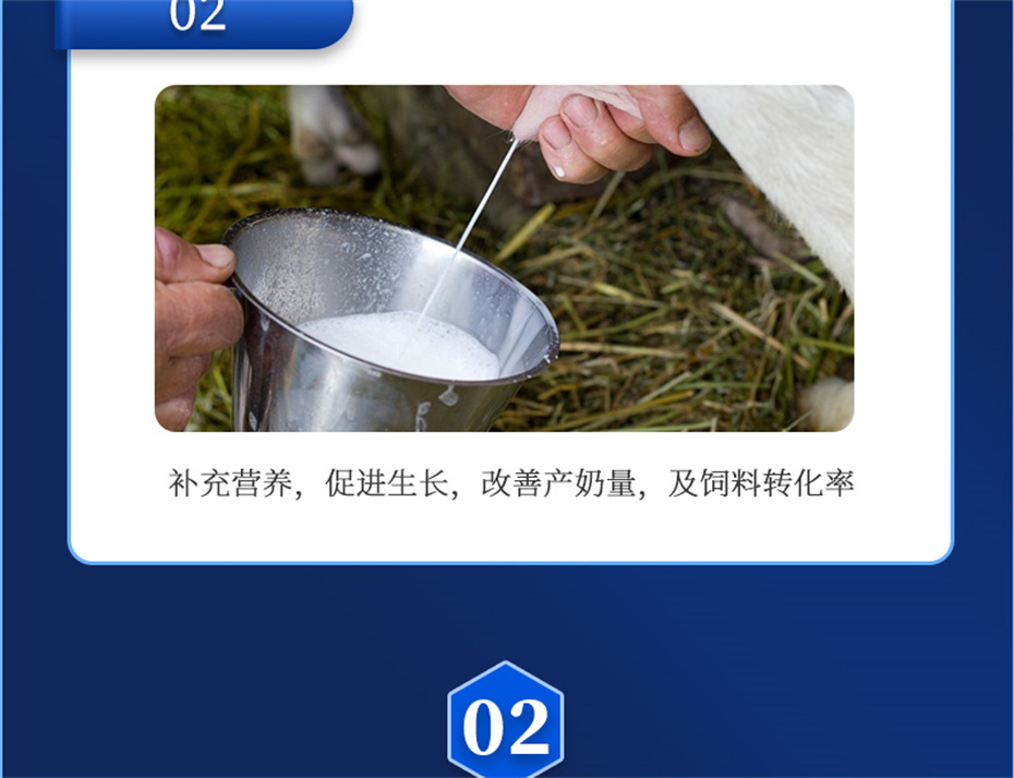 pp����ģ������������ţ�������Ӽ���ţ����Ʒ����