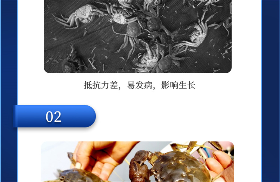 pp����ģ������������ˮ���������Ӽ��ٲ�΢+��Ʒ����