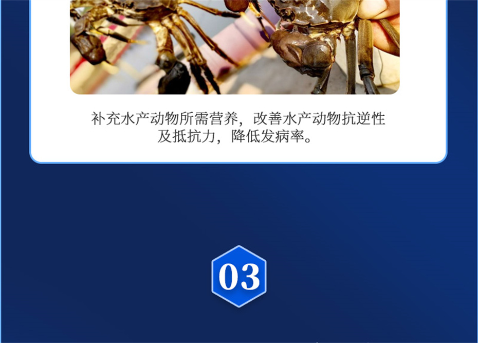 pp����ģ������������ˮ���������Ӽ��ٲ�΢+��Ʒ����