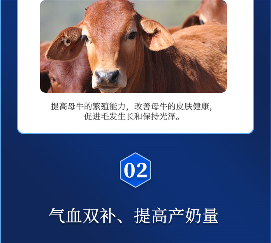 pp����ģ������������ţ���������Ӽ�����Ѫţ���Ʒ����