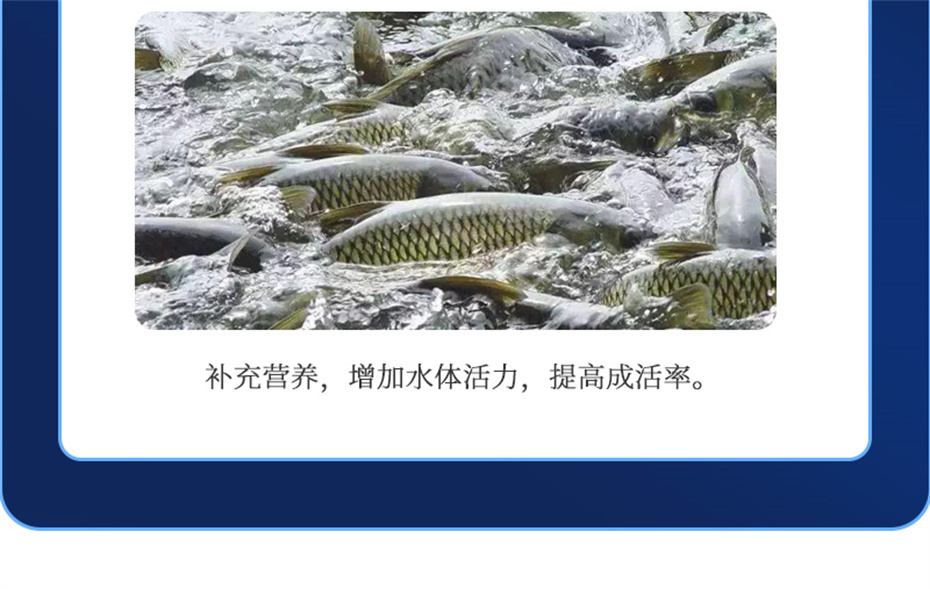 pp����ģ������������ˮ���������Ӽ�ά��1�Ų�Ʒ����