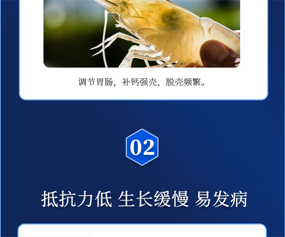 pp����ģ������������ˮ���������Ӽ��ε���ˮ����Ʒ����