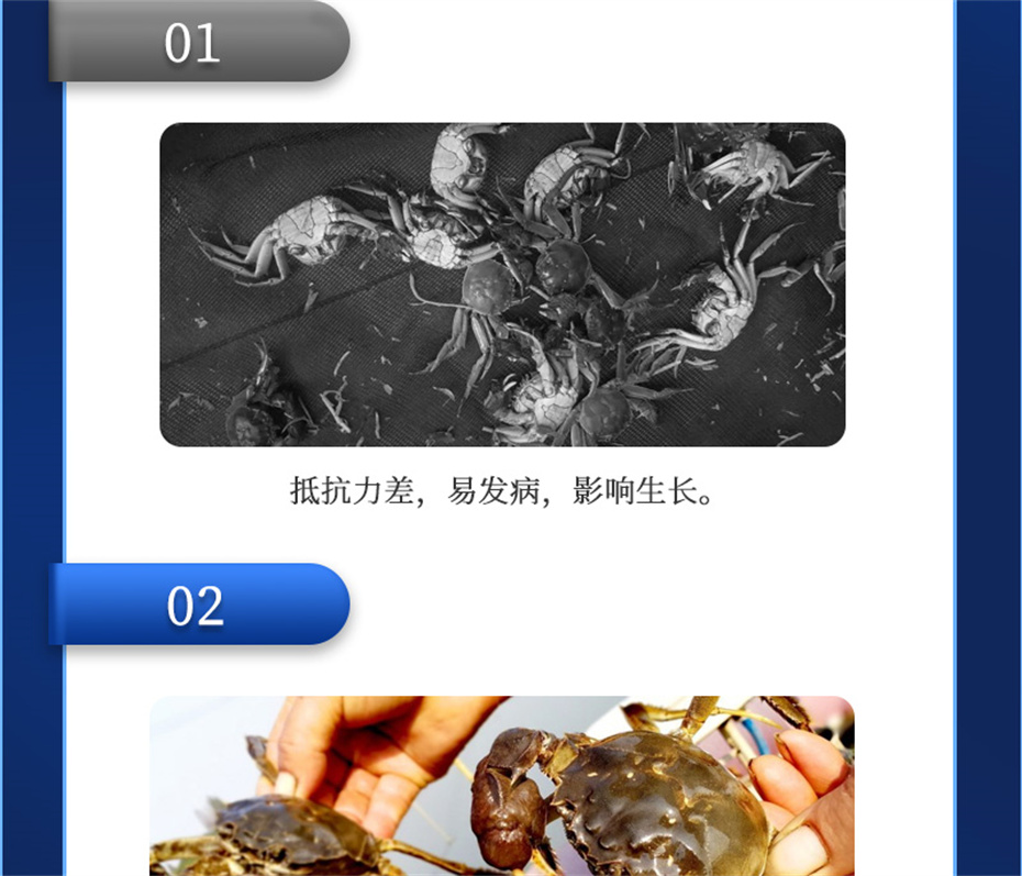 pp����ģ������������ˮ���������Ӽ��ε���ˮ����Ʒ����