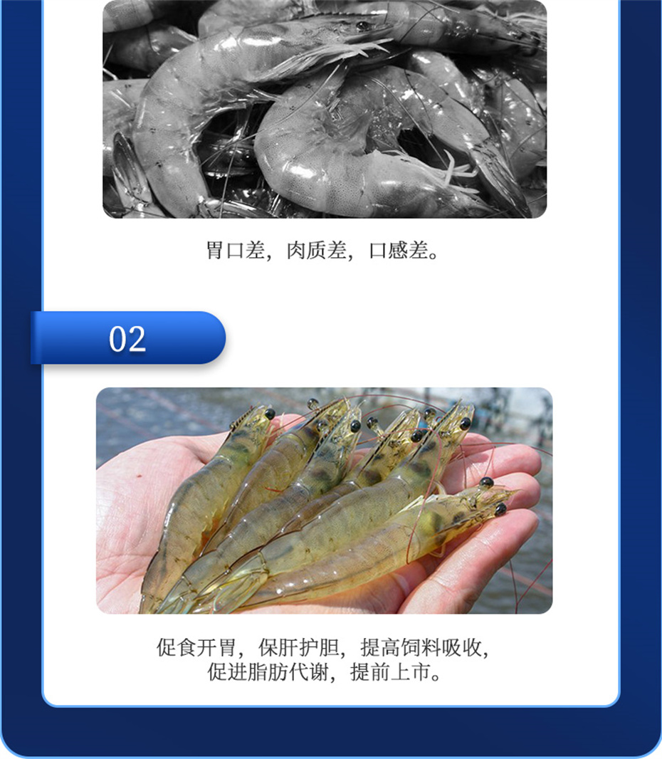 pp����ģ������������ˮ���������Ӽ��ε���ˮ����Ʒ����