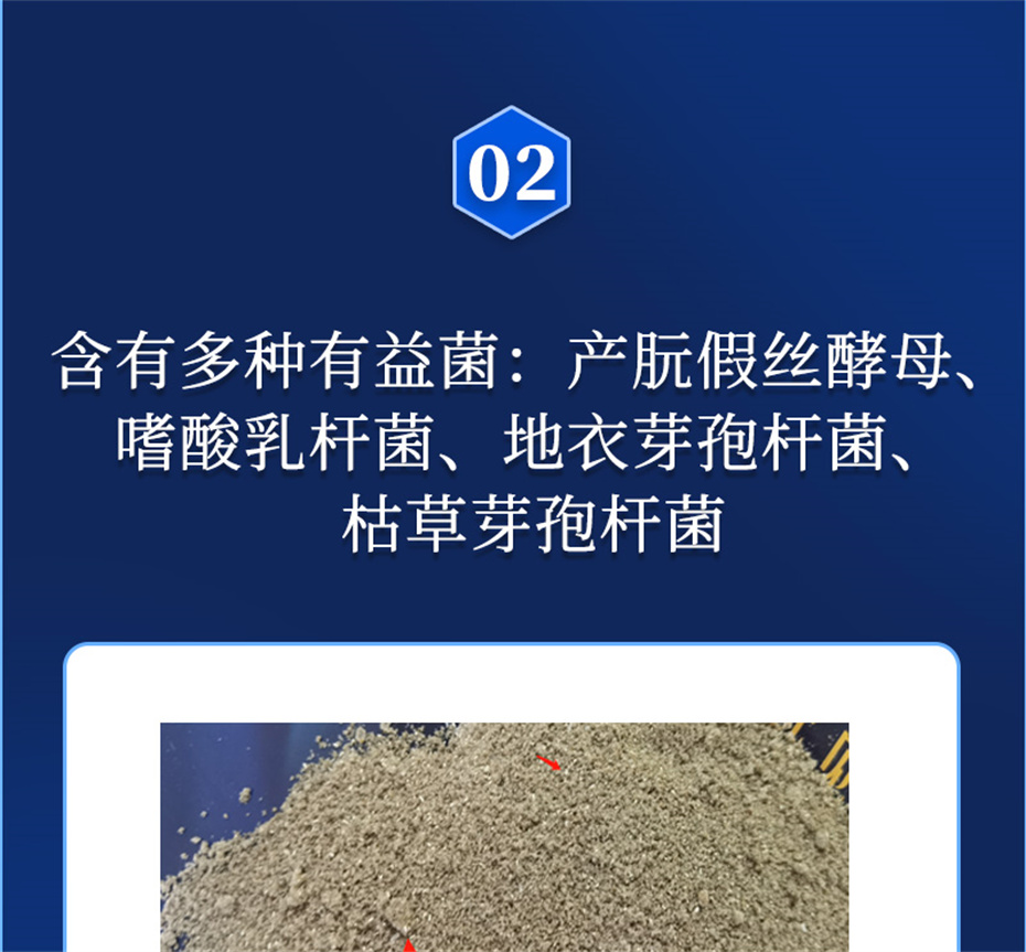 pp����ģ������������ˮ���������Ӽ���ˮ����Ʒ����