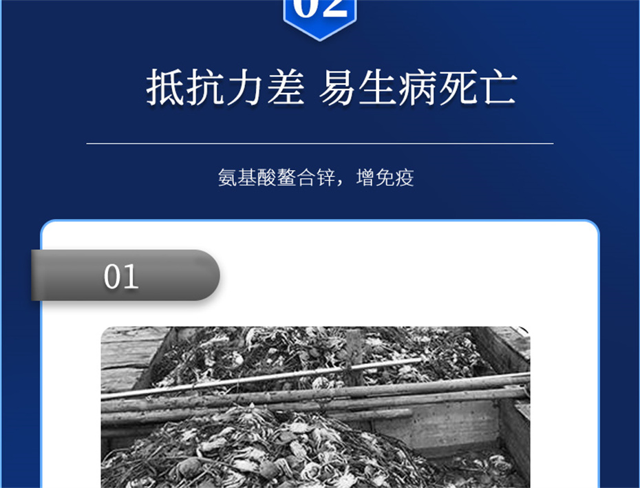 pp����ģ������������ˮ���������Ӽ�Ϻ������Ʒ����