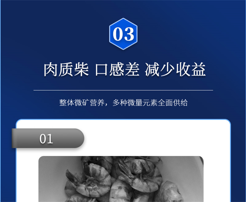 pp����ģ������������ˮ���������Ӽ�Ϻ������Ʒ����