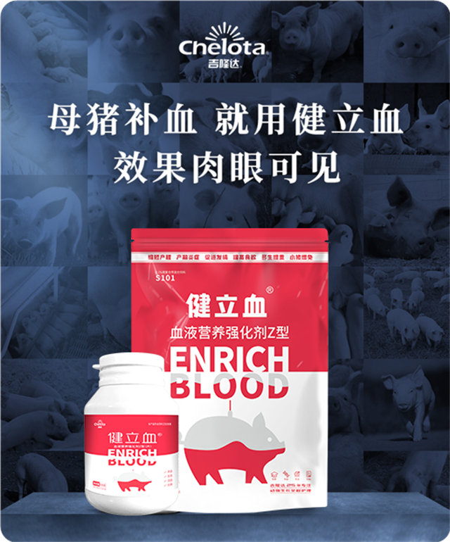 pp����ģ������������Ѫ