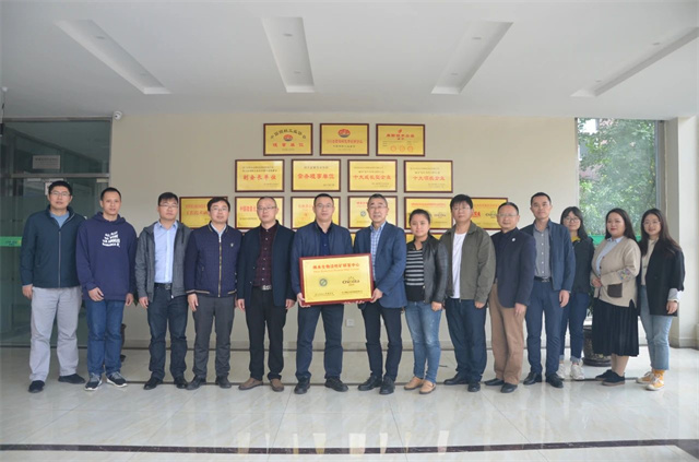 ����������Կ��з�����