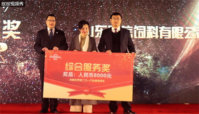 pp����ģ������������Ա�����