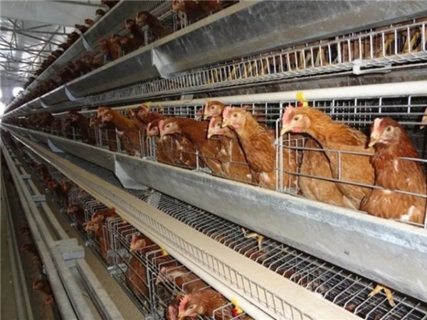 �������Ӽ�