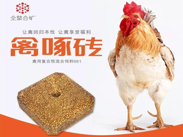 ����ש�������������ܸı�ʲô��