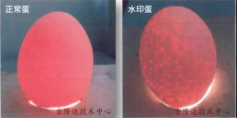 �������Ӽ�