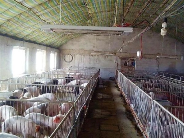 �������Ӽ�