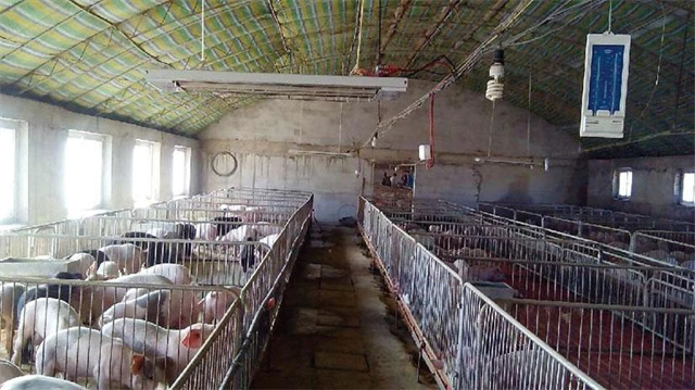 �������Ӽ�