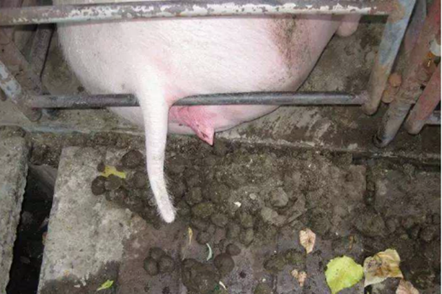 ĸ�����ص�Σ��