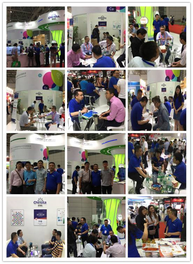 2017�й����Ϲ�ҵչ����