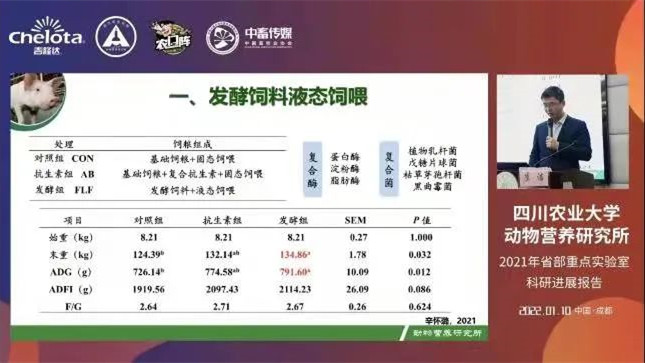 �ݽ����������