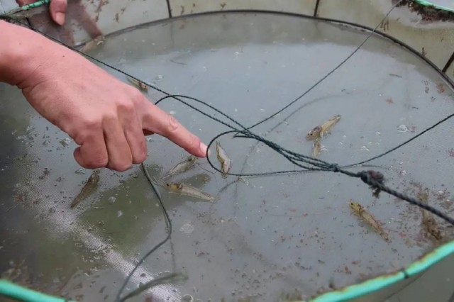 ��Ϻ������ʲôԭ��