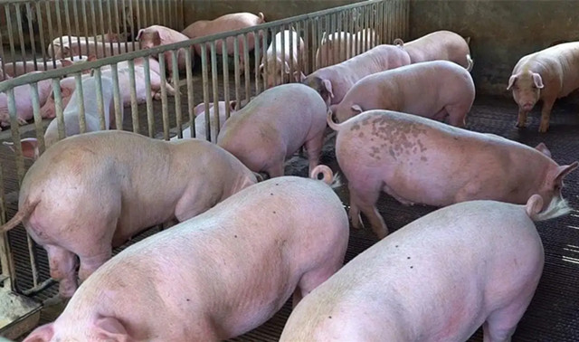 ������һ��Ҫ֪���ĸ�Ч�����ƽ���