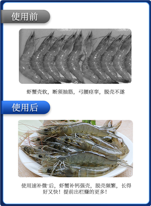 �ٲ�΢��Ϻ����Ч��