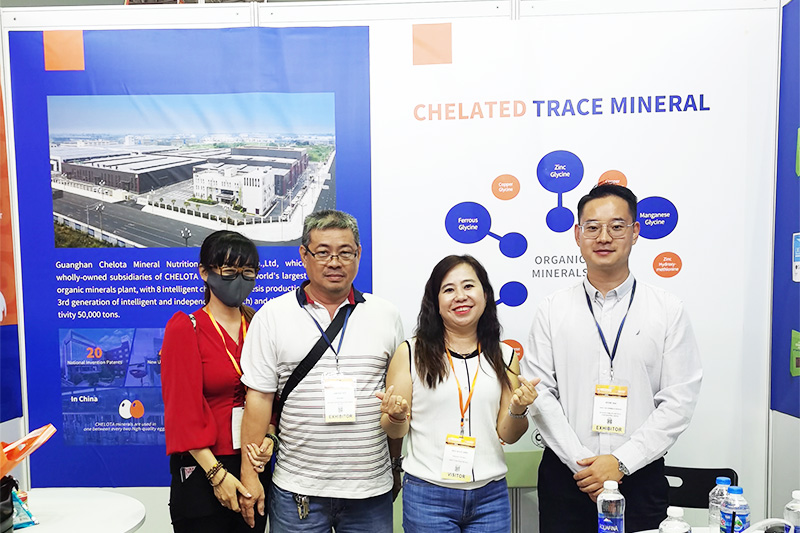 pp����ģ����������չԽ�Ϲ��ʼ�������չ