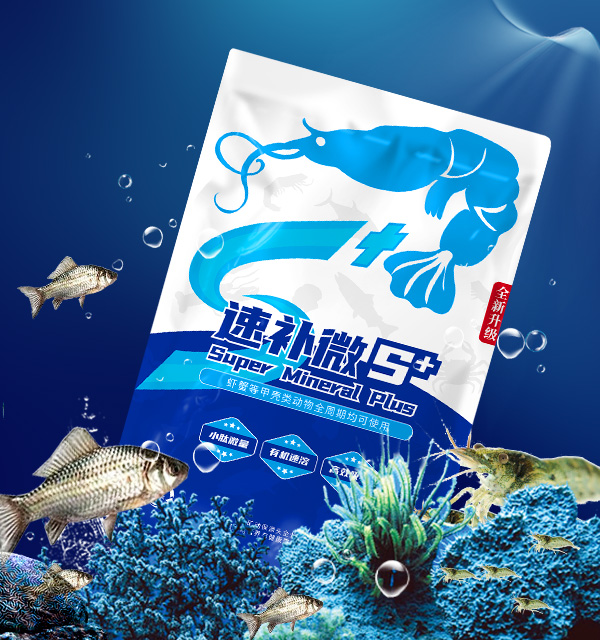 �������Ӽ�-��Ϻ�������Ӽ�-�ٲ�΢+