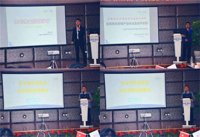 ����������ҵ�ι��л�΢��Ԫ�س���pp����ģ��������