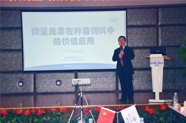 ����������ҵ�ι��л�΢��Ԫ�س���pp����ģ��������