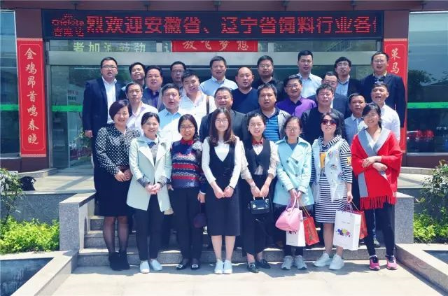 ����������ҵ�ι��л�΢��Ԫ�س���pp����ģ��������