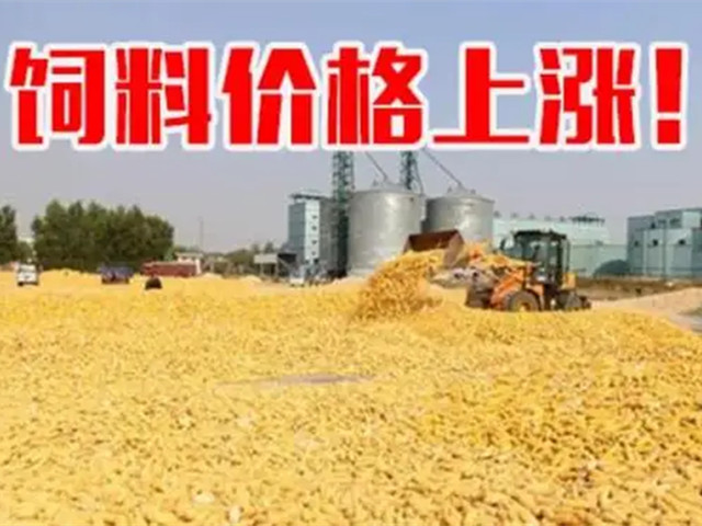 �ں����ϼ۸��ٴ����������ϳ�Ҳ�п࣡�ﶬ������Ҫ�Եø�������