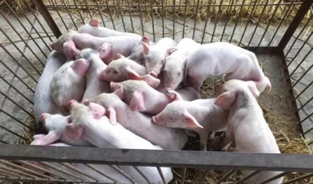 ����������