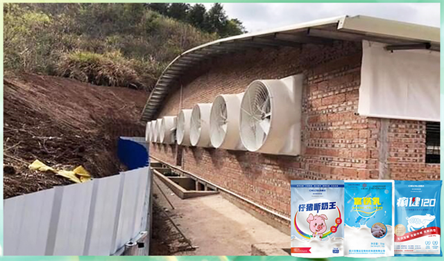 pp����ģ�������������������Ӽ�