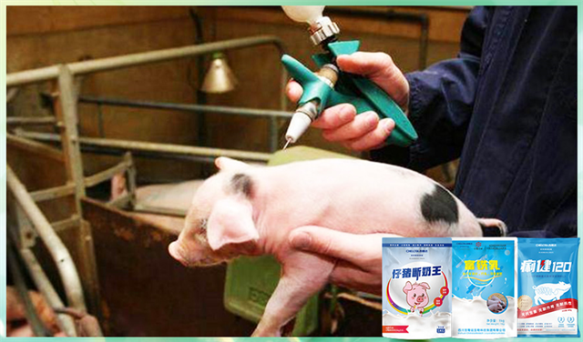 pp����ģ�������������������Ӽ�