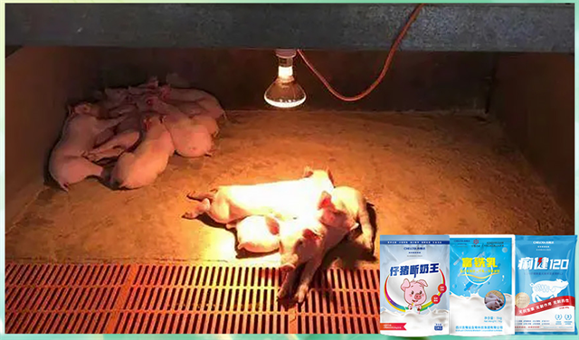 pp����ģ�������������������Ӽ�