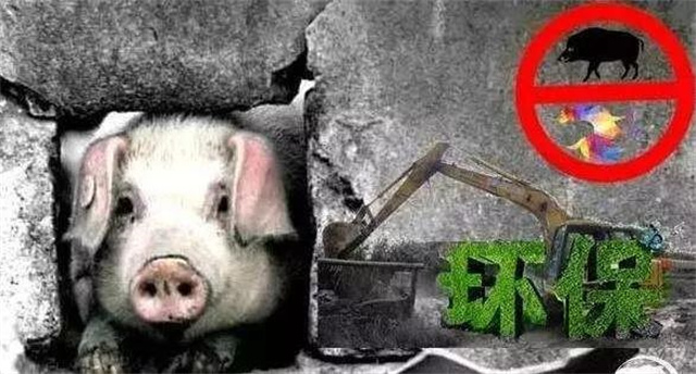 ������ֳ��Ⱦ