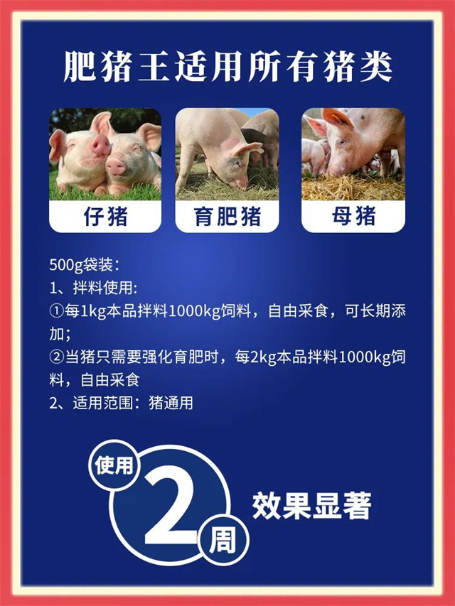 pp����ģ��������-�������÷�