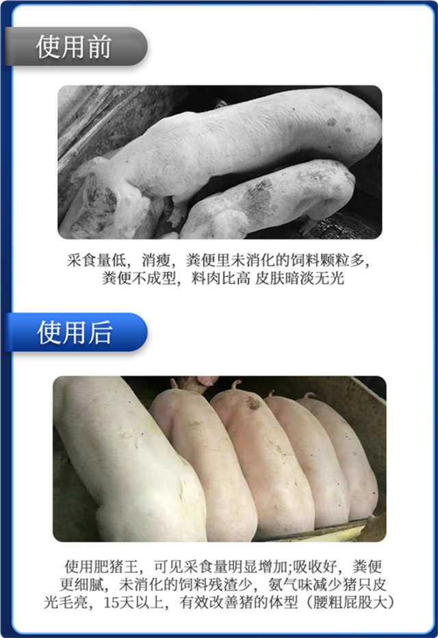 pp����ģ��������-������ʹ��Ч��