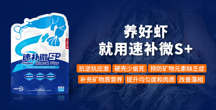 ����Ϻ�������ٲ�΢s+